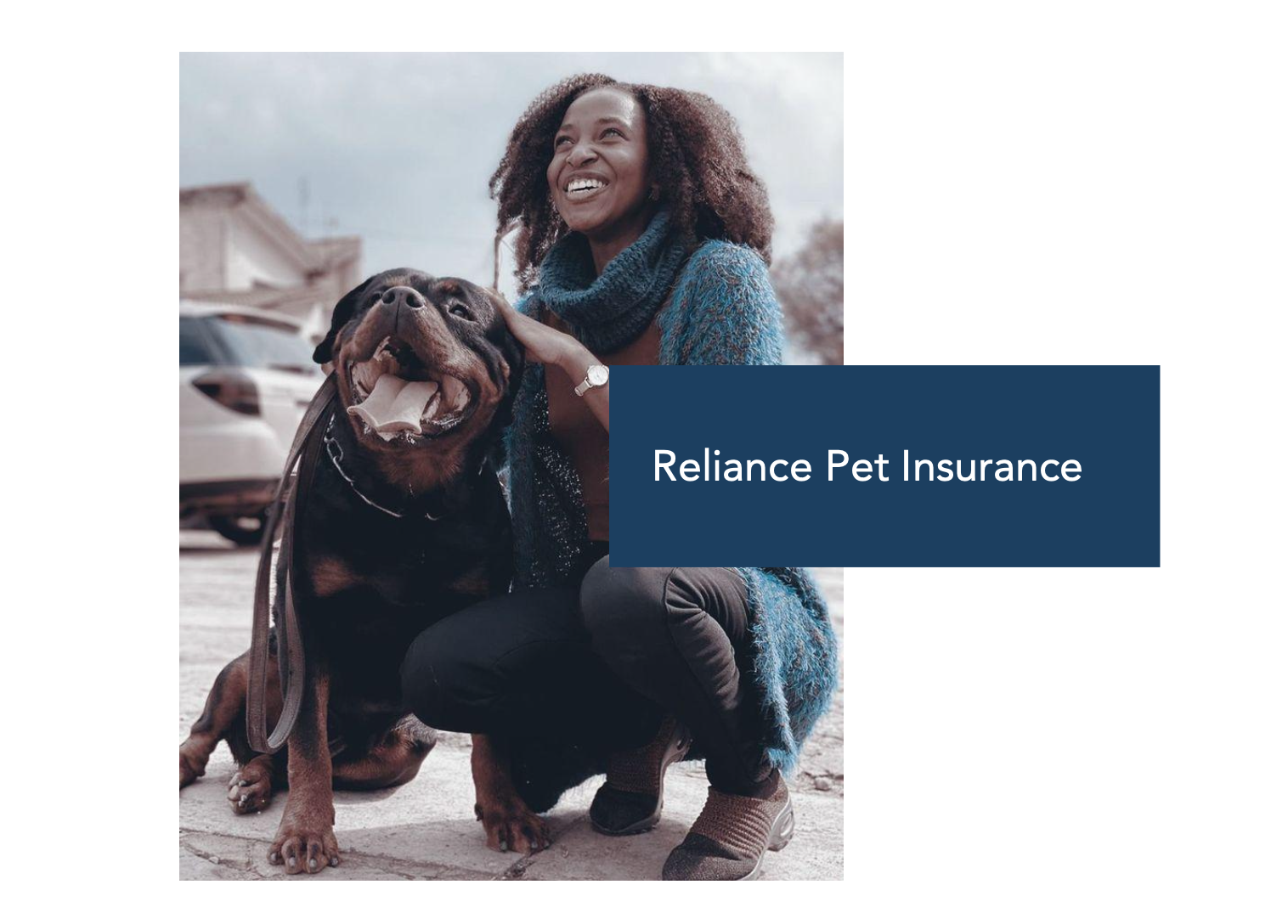Pet Care preview